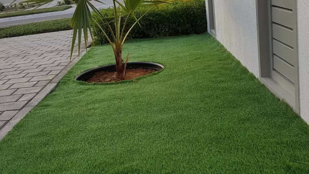Landscape project photo 23
